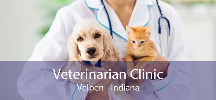 Veterinarian Clinic Velpen - Indiana