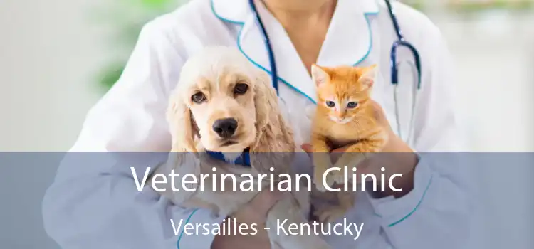 Veterinarian Clinic Versailles - Kentucky